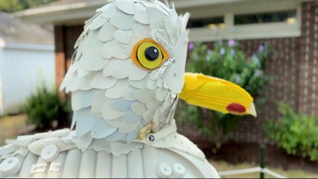 A Plastic Gull Lands at the Cape Cod Visitor Center